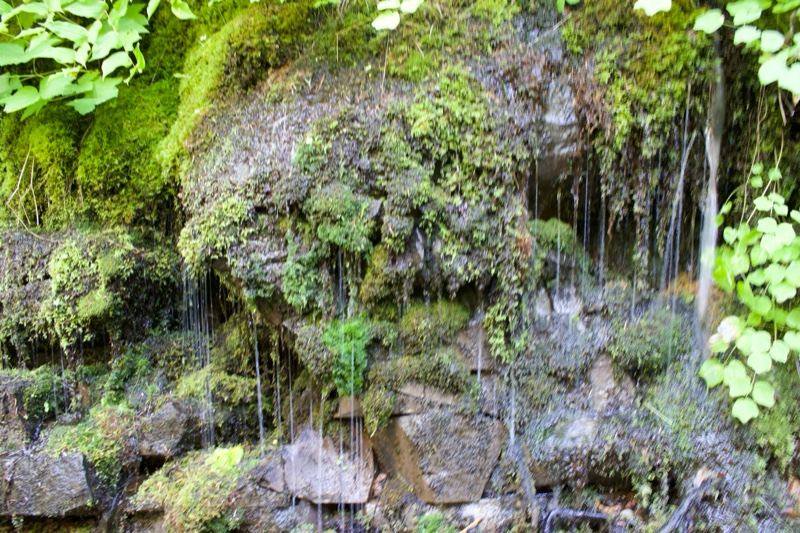 Mossy Rock Waterfall Trickle