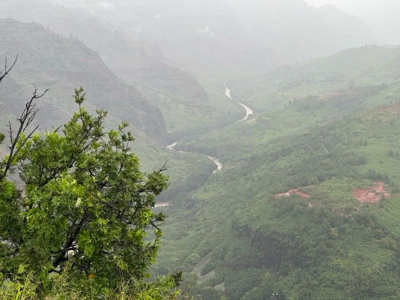 Misty Mountain Valley with Winding Road