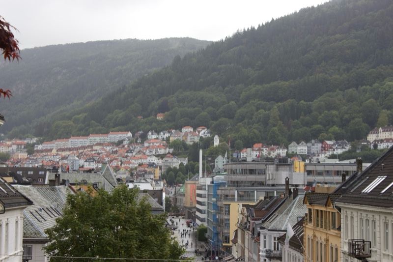 Bergen cityscape with forested hill