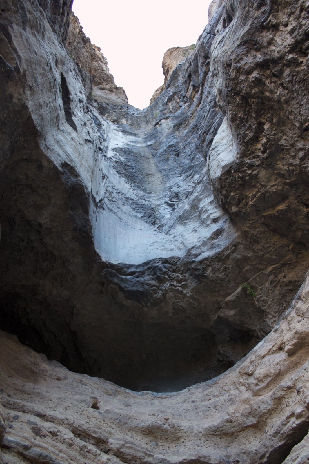 Narrow Canyon Gorge Looking Upward