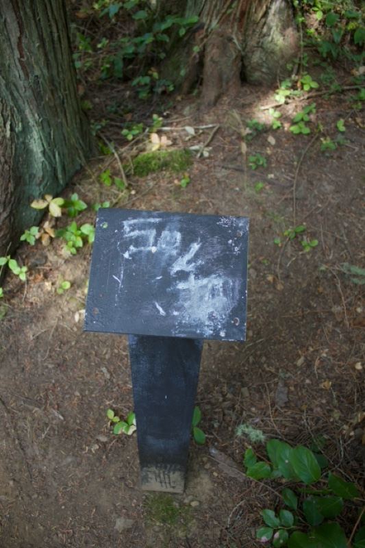 Weathered Trail Sign in Forest