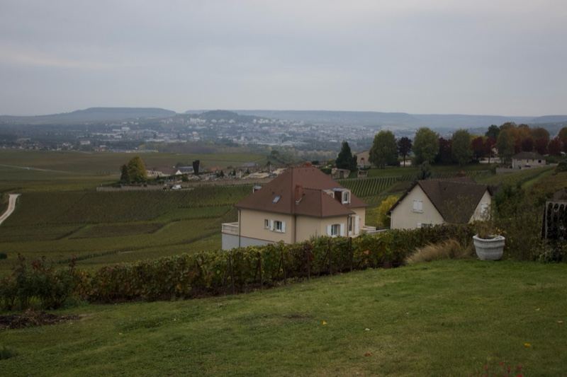 Rural countryside with farmhouses
