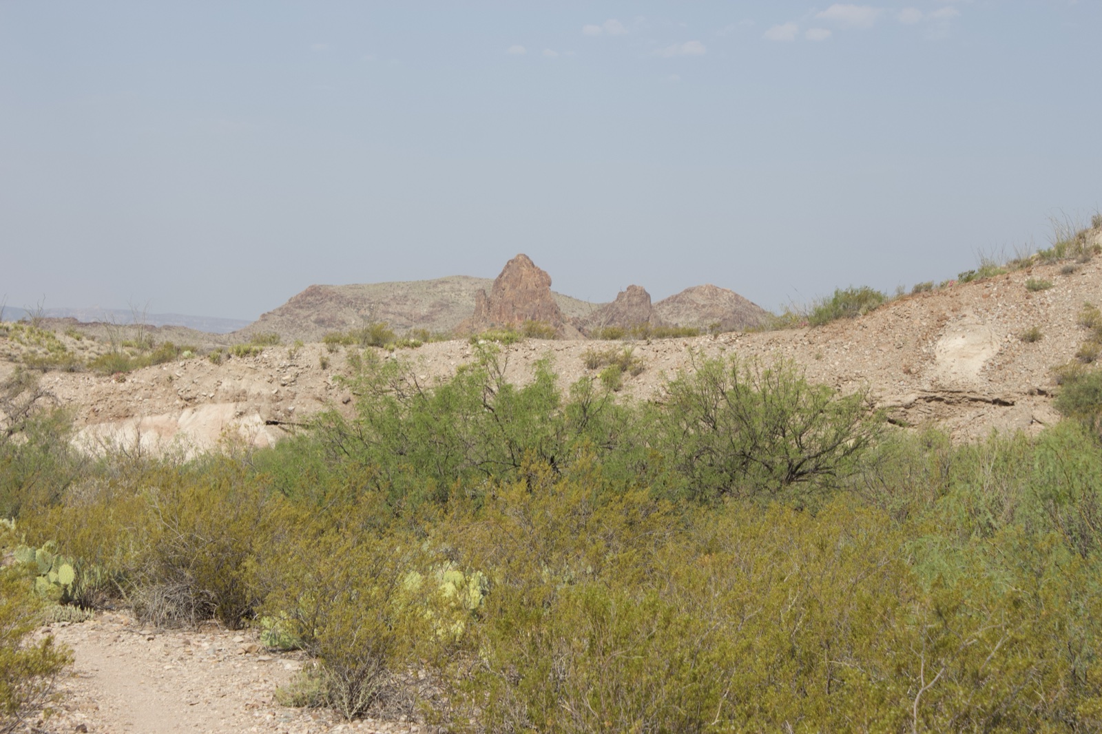 Arid Desert Landscape with Scrub