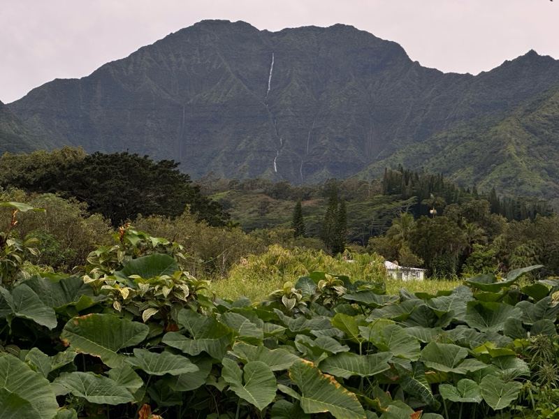 Lush Mountain with Waterfall in Hawaii