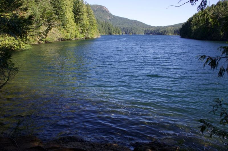 Serene Forest Lake with Mountain View