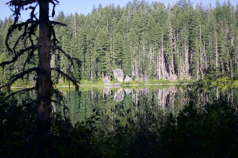 Forest Lake Reflection in Wilderness