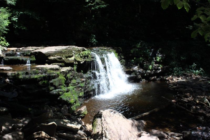 Forest Waterfall Cascading Over Rocks
