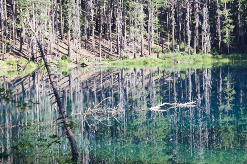 Alpine Lake Reflecting Forest