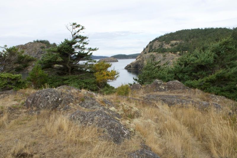 Coastal Inlet Overlook With Dry Grass