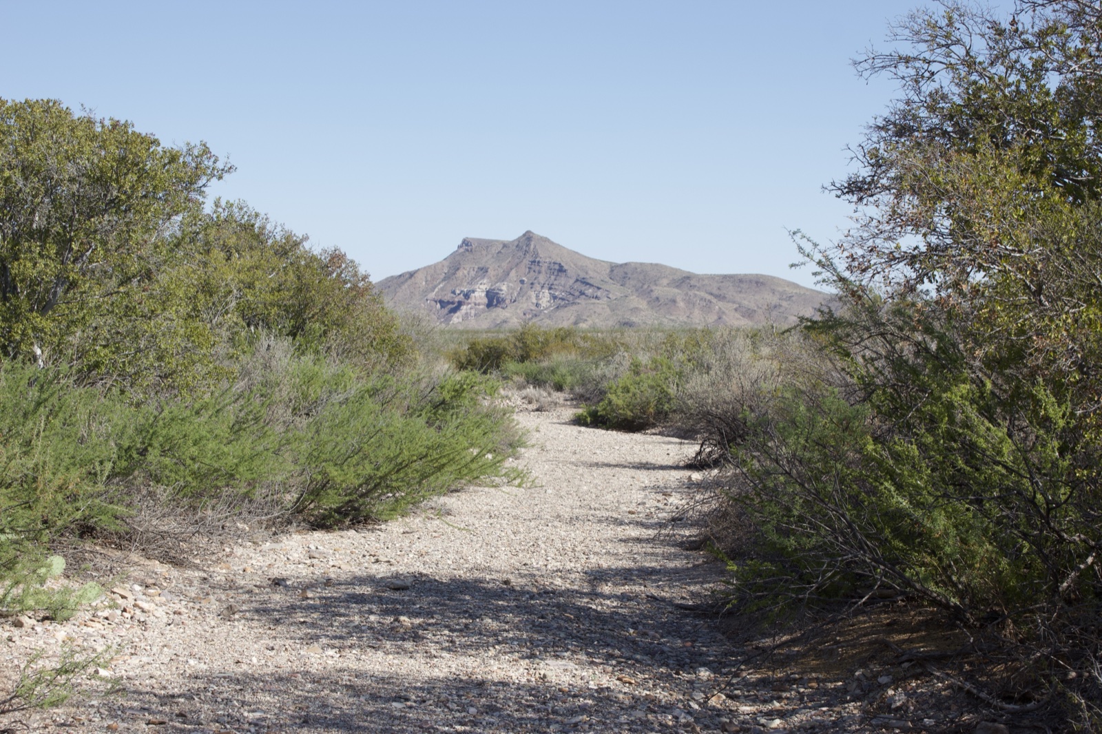 Desert Trail Leading to Mountain