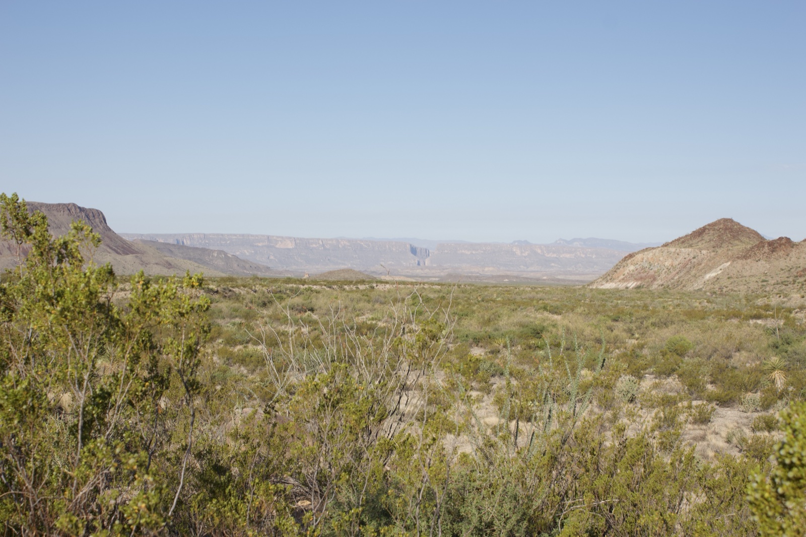 Desert landscape with distant mountains