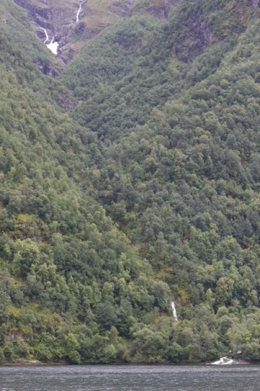 Forested Mountains With Waterfalls Over Fjord