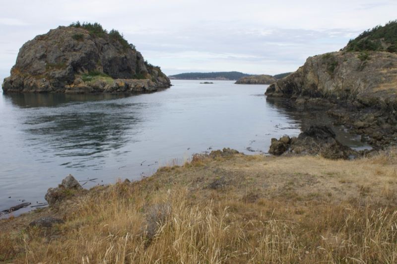 Rocky Islet in Coastal Inlet