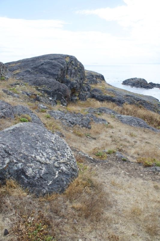 Rocky Coastal Outcrop With Dry Grass