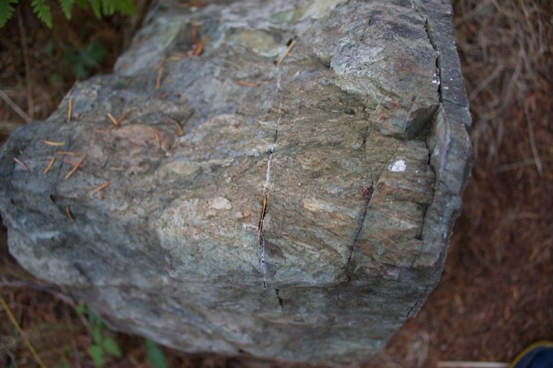 Weathered Rock on Forest Floor