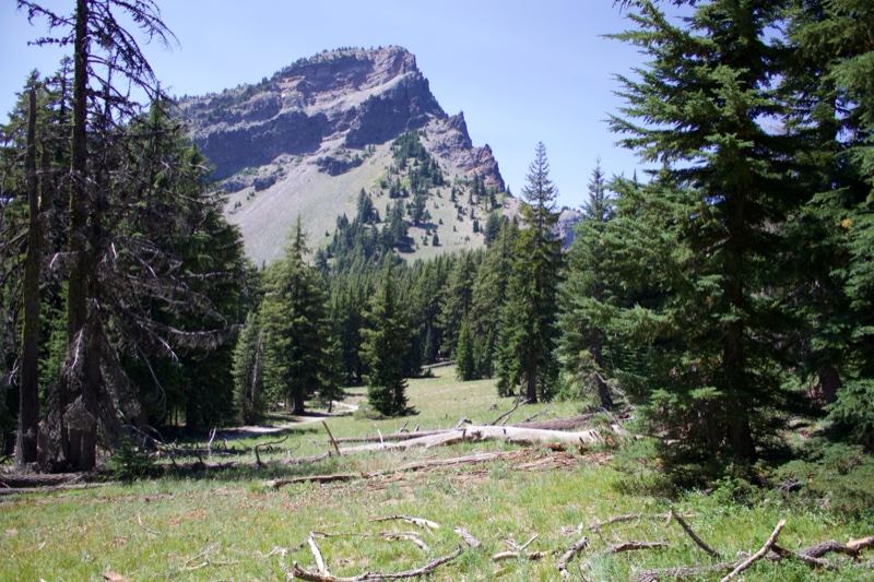 Mountain Peak Through Forest Clearing