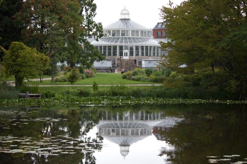 Greenhouse Reflected in Pond
