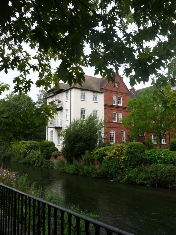 Riverside Houses Under Tree Canopy