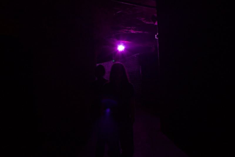 Silhouettes Under Purple Light in Dark Corridor
