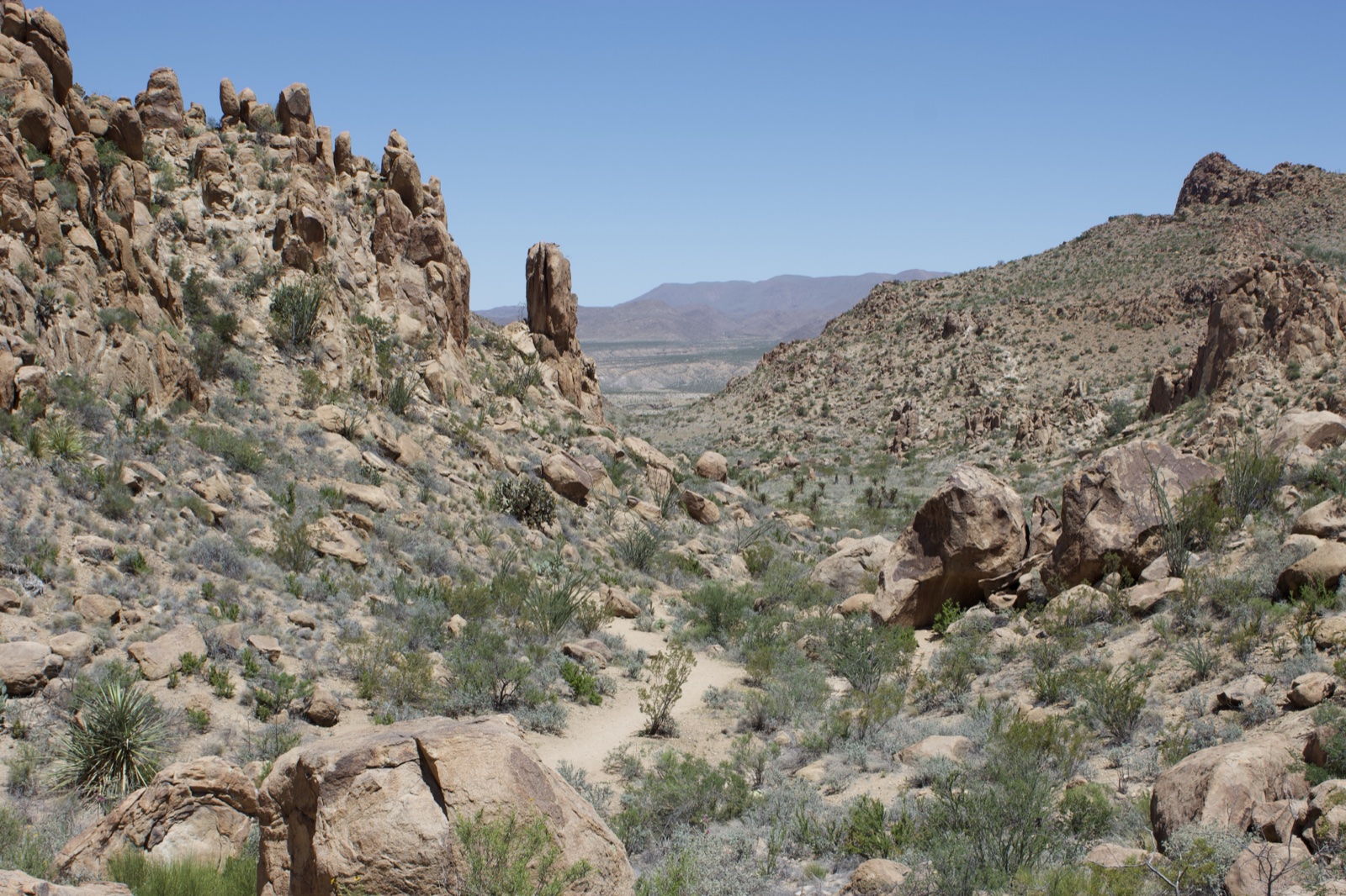 Arid Desert Canyon Rocky Landscape