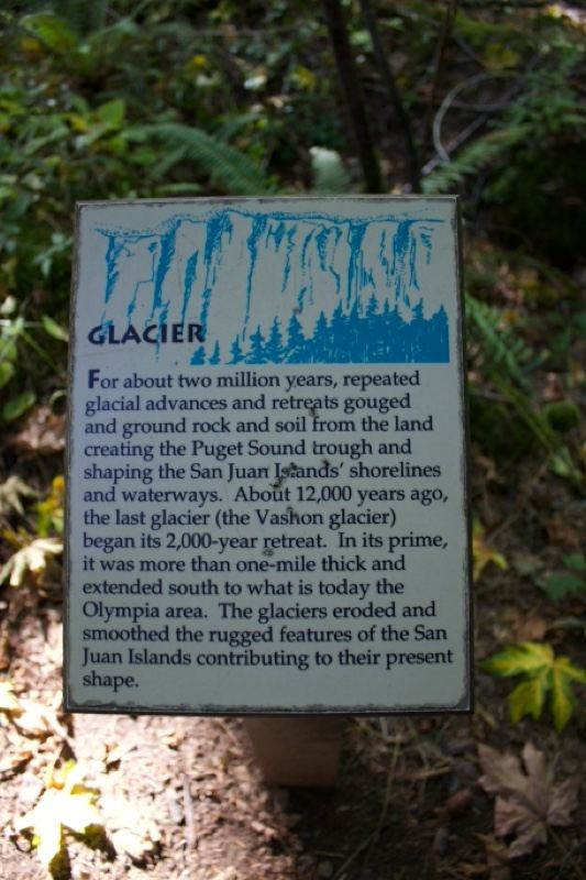 Glacier informational sign in forest