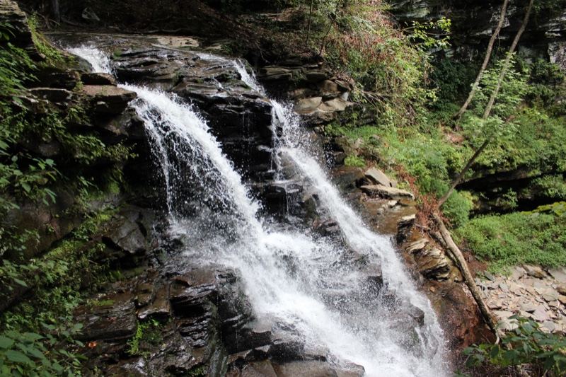 Forest Waterfall Cascading Over Rocks