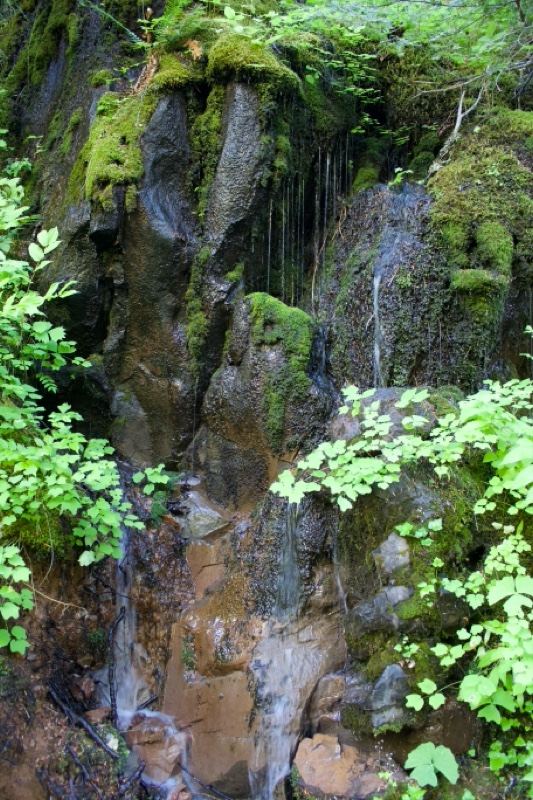 Mossy Rock Waterfall Cascade