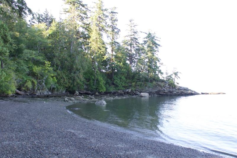 Pebble Beach with Forested Point