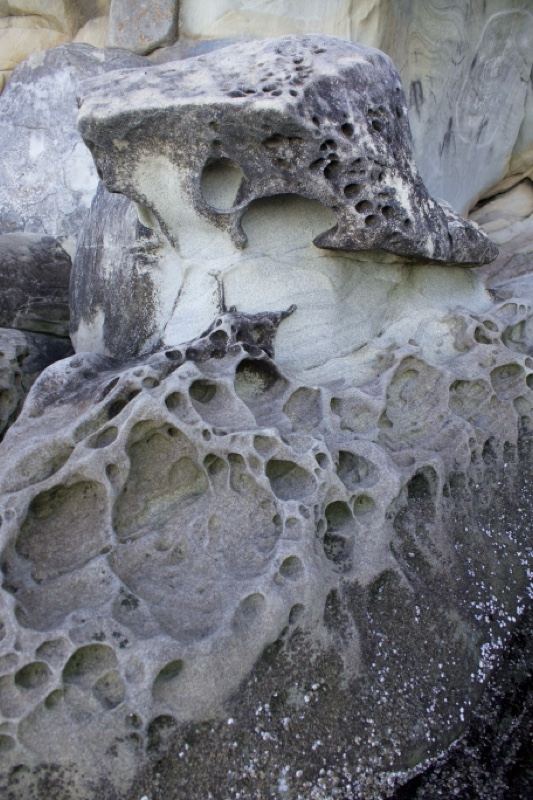 Honeycomb Weathered Coastal Sandstone Rock