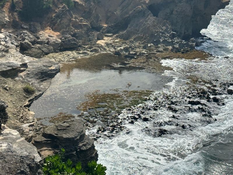 Rocky Coast Tidal Pool Ocean Waves