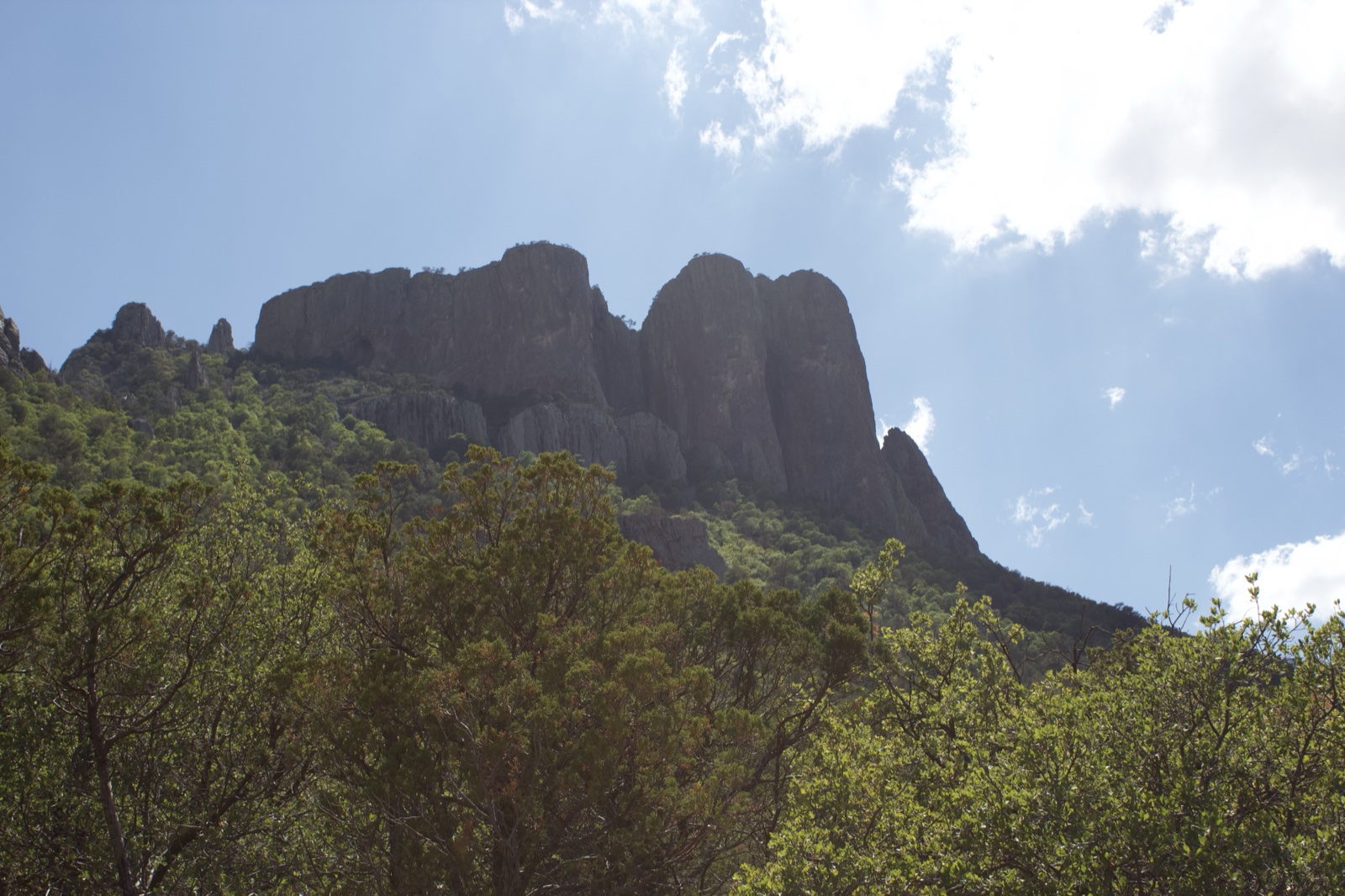 Rugged Mountain Peak Above Forest