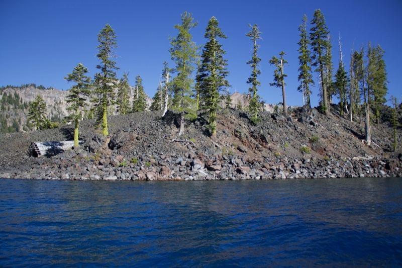 Rocky Lake Shore with Pine Trees