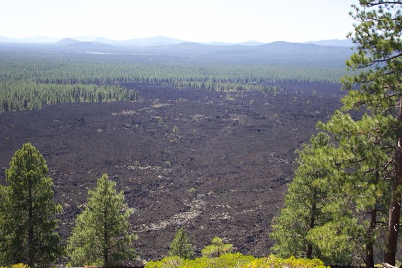 Volcanic Lava Field Overlook with Pine Forest