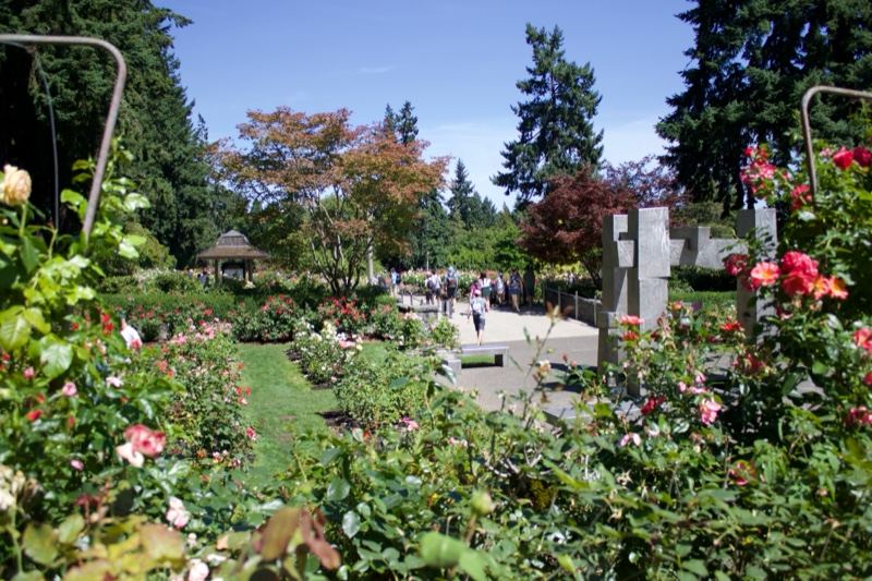 Park Garden with Roses and Path