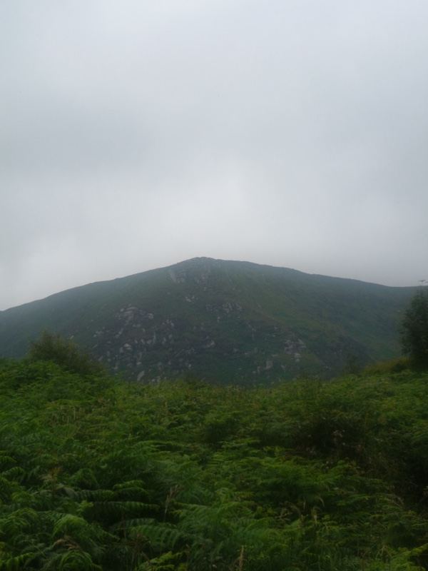 Misty Mountain Over Fern Covered Hillside