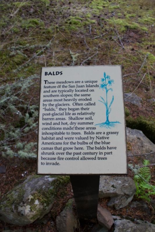 Interpretive sign about balds