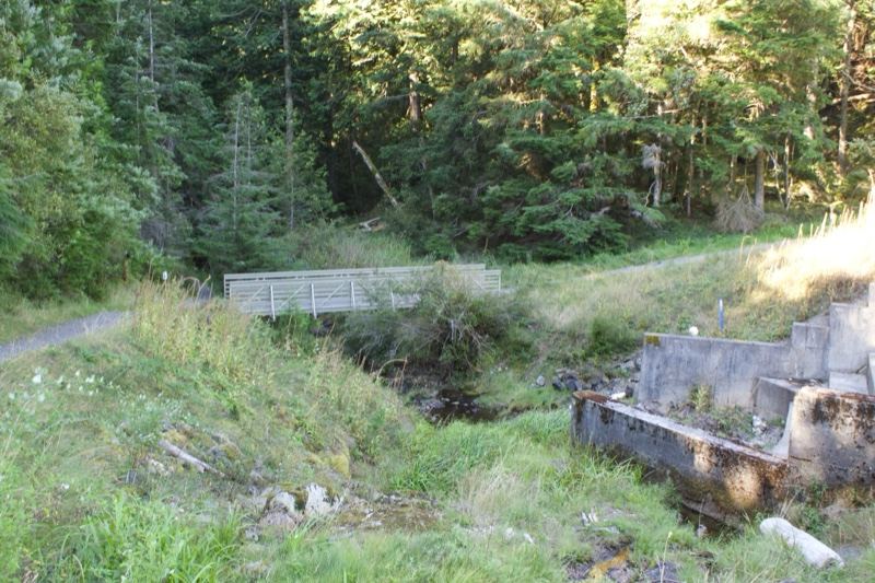 Abandoned Concrete Structure in Forest