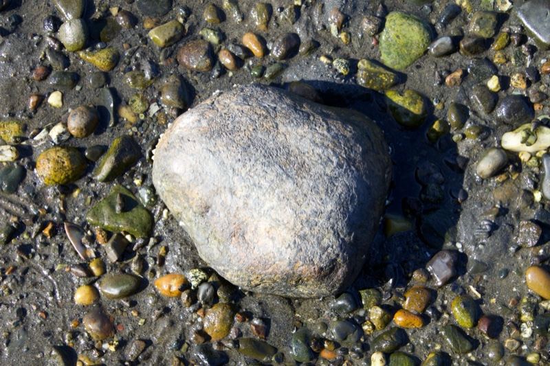 Smooth Gray Rock on Wet Pebble Shore