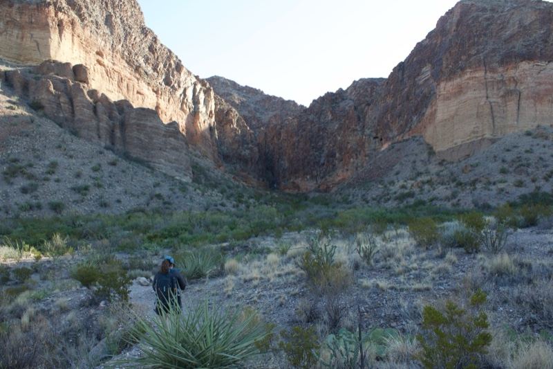 Desert Canyon with Hiker in Distance
