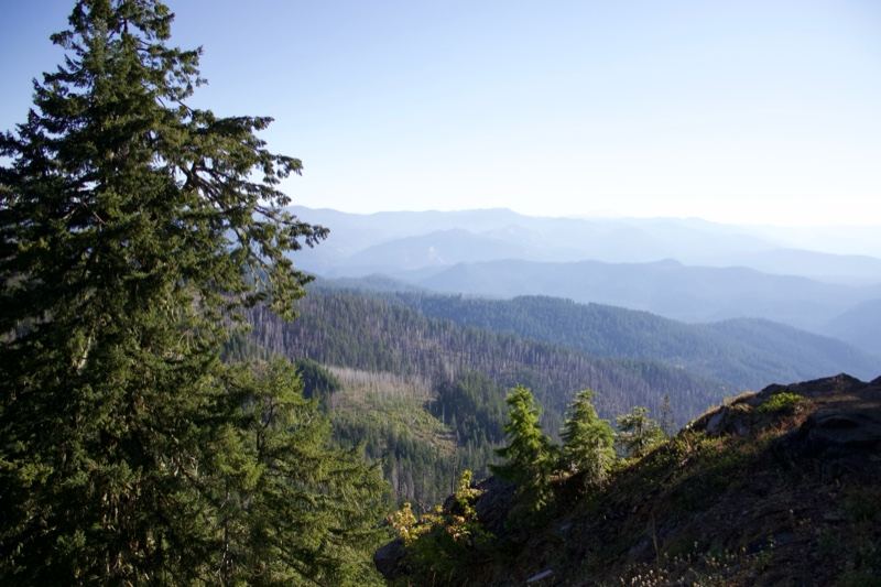 Mountain Forest Vista From Ridge