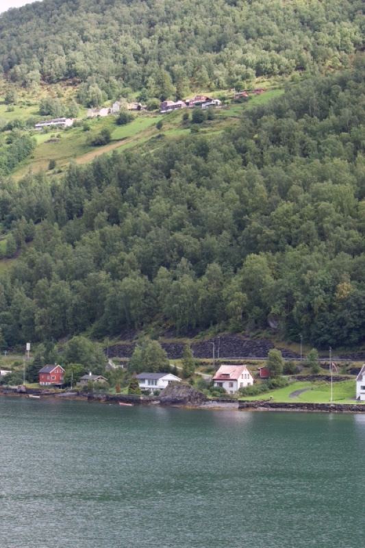 Forested hillside over fjord shoreline