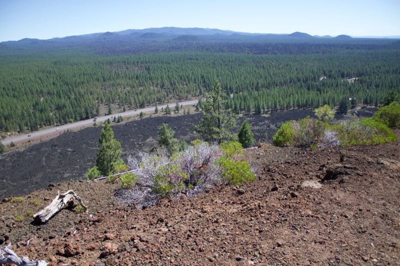 Volcanic Overlook of Burned Forest