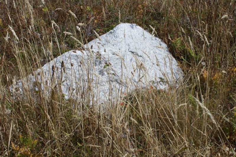 White Boulder in Tall Dry Grass