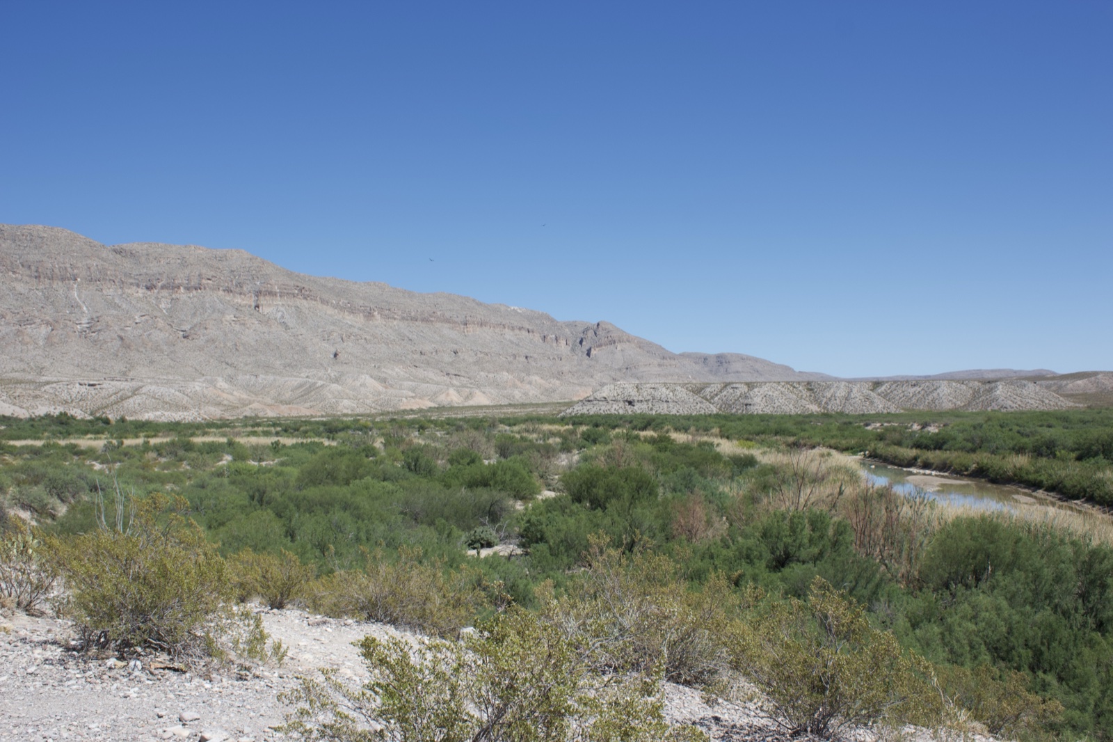 Desert River Valley with Rocky Mountains