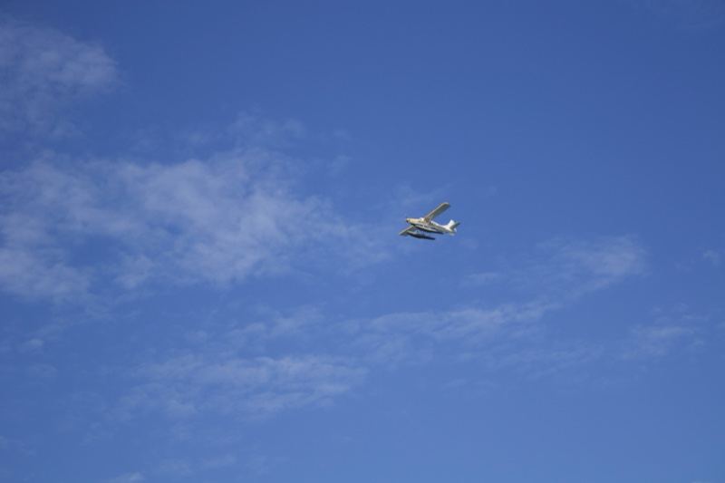 Airplane Flying in Blue Sky