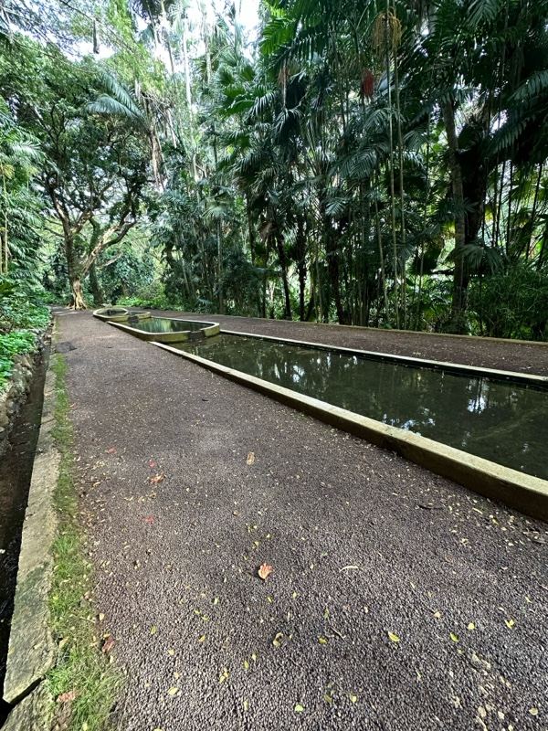 Tropical Garden Canal Path