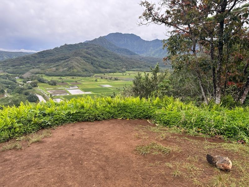 Mountain Valley Overlook Tropical Landscape