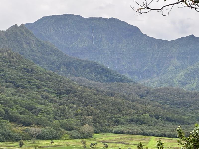Lush Mountain Valley With Waterfall