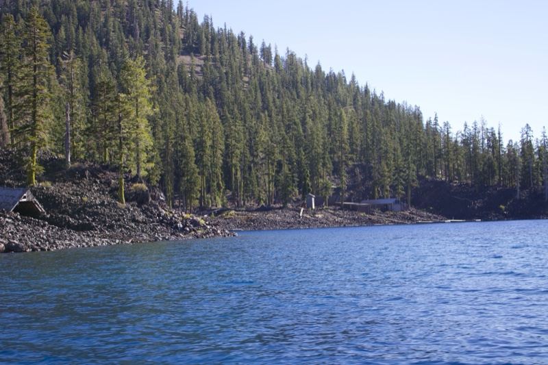 Forested Lake Shore with Pine Trees