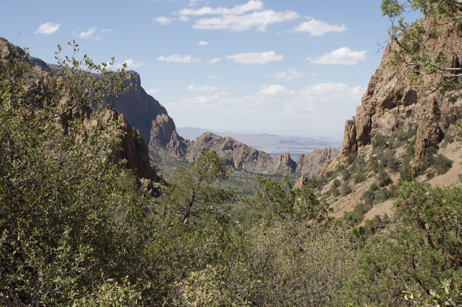 Desert Mountains and Green Foliage View